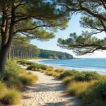 découvrez le parc de penn avel au croisic, un espace naturel unique où une forêt littorale préservée vous invite à la promenade et à la découverte de la biodiversité locale.