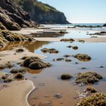 découvrez la plage secrète de port-creux, accessible uniquement lors des marées basses, pour un moment unique au cœur de la nature.