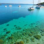 découvrez les mesures de limitation du mouillage forain au croisic visant à protéger les précieux herbiers de zostères et préserver la biodiversité marine locale.