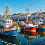 découvrez comment la coopérative maritime de le croisic finance la modernisation de la flotte de pêche artisanale, améliorant ainsi la durabilité et l'efficacité des activités locales.