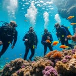 découvrez la sensibilisation à la faune sous-marine régionale organisée par les biologistes experts de l'océarium du croisic, une immersion éducative pour mieux comprendre et protéger les espèces marines locales.